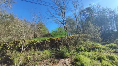 Finca rústica en Coles