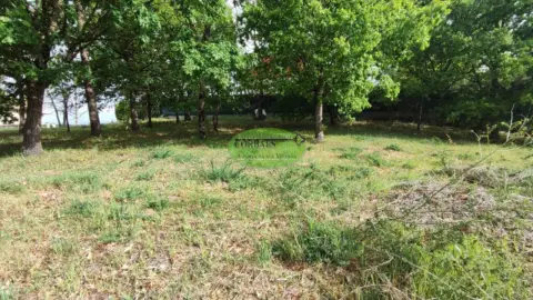 Terreno en Pereiro de Aguiar (O)