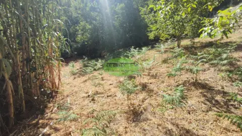 Terreno en Pereiro de Aguiar (O)
