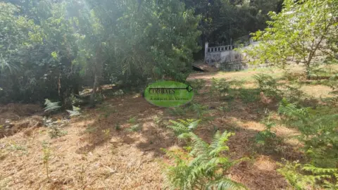 Terreno en Pereiro de Aguiar (O)