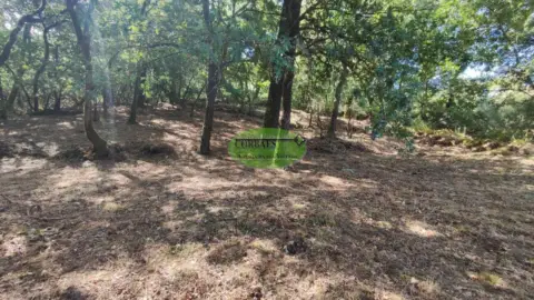 Finca rústica en Pereiro de Aguiar (O)