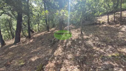 Finca rústica en Pereiro de Aguiar (O)