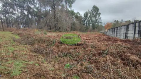 Finca rústica en Carballiño (O)