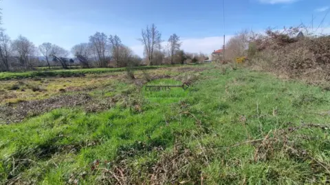 Terreno en Xinzo de Limia