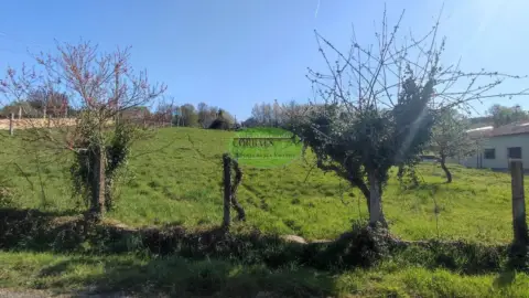 Terreno en San Cibrao Das Viñas