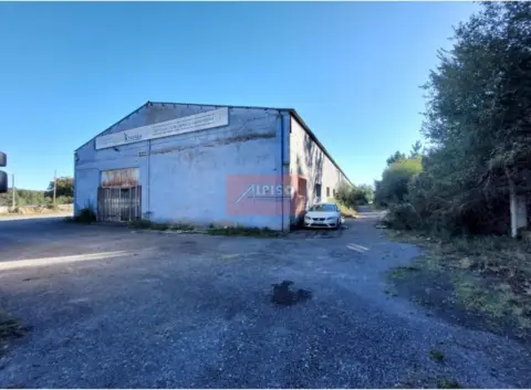 Nave industrial en calle Avenida Lavandeira