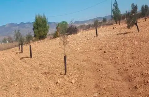 Terreno en calle Cañada Seca