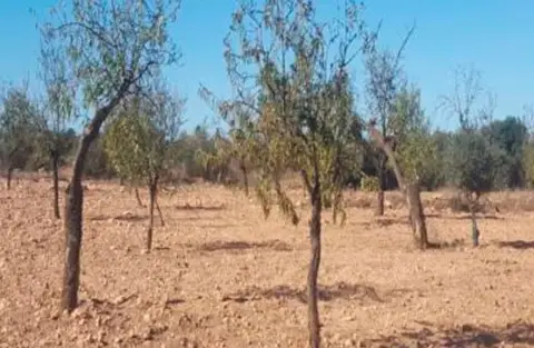 Terreno en calle Cañada Seca