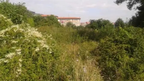 Terreno en calle La Espina, Huerto La Rocica