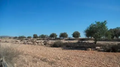 Terreno en calle los Mesegueres Pg158 Pc.109 Parte Hcda.Los Aguados