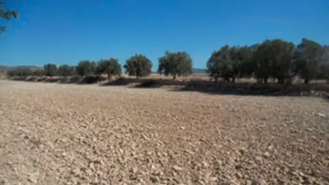 Terreno en calle los Mesegueres Pg158 Pc.109 Parte Hcda.Los Aguados