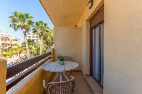 Apartamento en Avenida Infanta Cristina Urbanizacion Torre del Rame