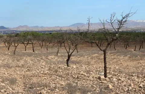 Terreno en calle Las Roturas de La Valenciana, Pol 6 Parc 399