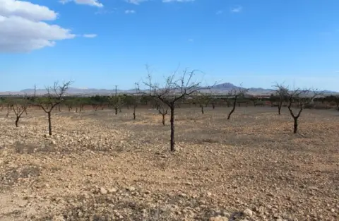 Terreno en calle Las Roturas de La Valenciana, Pol 6 Parc 399