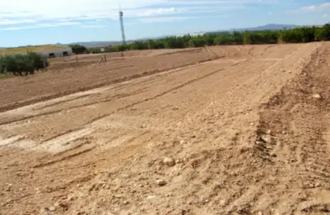 Terreno en calle del Lomo, Pol 6 Parc 192