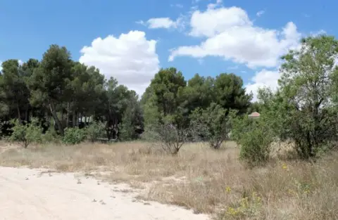 Terreno en calle Carretera de Singla