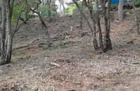 Terreno en calle Sant Miquel Daro, nº 42C