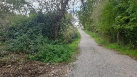 Terreno en calle Fonte del Omero, Polig 11 Parc 37