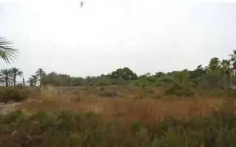 Terreno en Avenida de Poniente