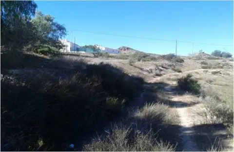 Terreno en calle del Ferro,Pc 1,Sitio La Escarihuela Dip