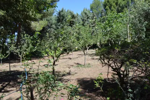 Terreno en Cuesta de Valdecarros, nº 123