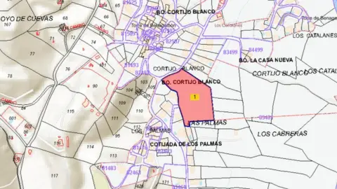 Terreno en calle C- de Cortijo los Palma
