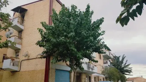 Piso en Camino de los Pinos