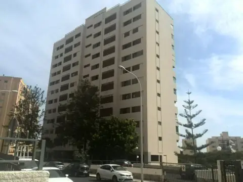 Piso en Avenida Profesor Peraza de Ayala