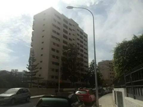 Piso en Avenida Profesor Peraza de Ayala