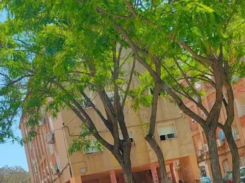 Piso en calle Pz. Maestro Jose Palmis