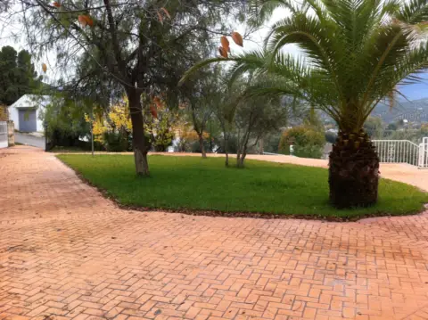 Chalet en calle Paraje Camino Puente Nuevo