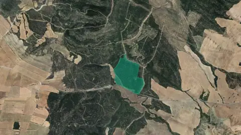 Terreno en calle Pt Arciseco, Cañadas del Arciseco y Casas del Carr