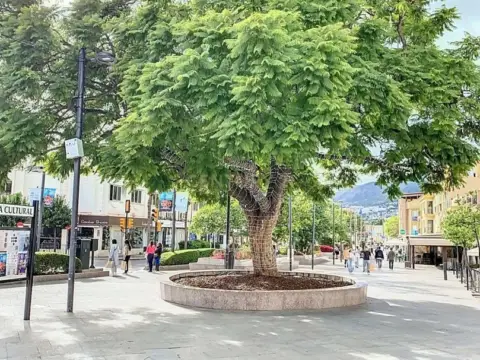 Local comercial en Avenida de la Constitución