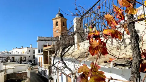 Chalet en calle Rosario