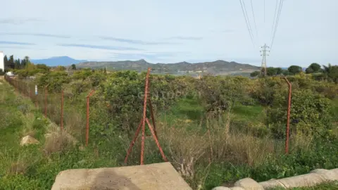 Terreno en calle calle Tubelorda