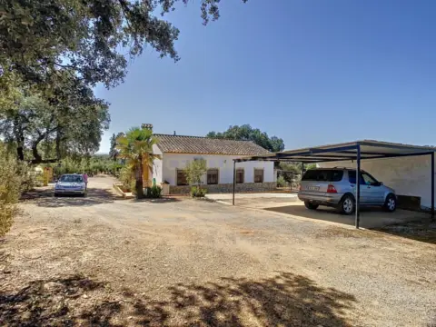 Chalet en calle Diseminados Poligono 9