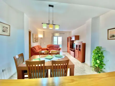 Piso en Bulevar de El Ejido