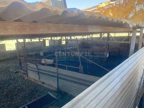 Terreno en calle Lugar El Quinto