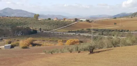 Terreno en calle Colmenar