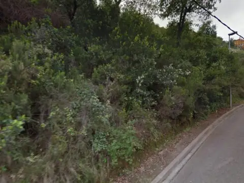 Terreno en Carrer de l'Olivera