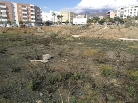 Terreno en calle Aceituneros