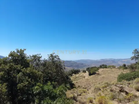 Finca rústica en calle Centenillos