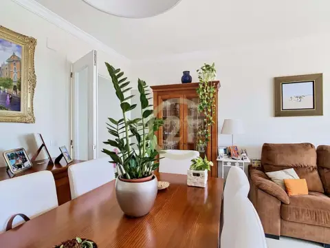 Piso en Avenida de La Inmaculada Concepción