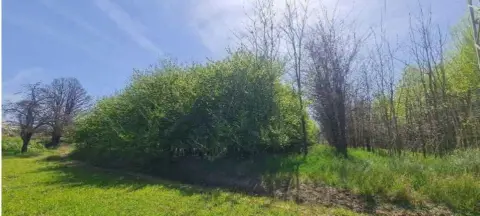 Terreno en calle Paraje Agramason,Pol