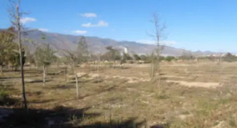 Terreno en calle El Ejido-De Ugijar