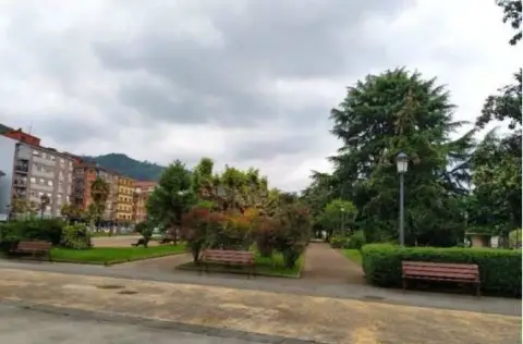 Piso en Avenida del Cotó
