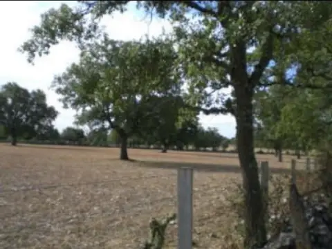 Terreno en calle Pxmata Polg