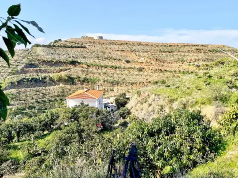 Finca rústica en Área de Triana-Cabrillas-Trapiche