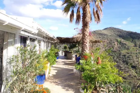 Finca rústica en Arenas de Vélez