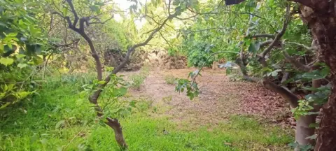 Terreno en Caleta de Vélez-Lagos